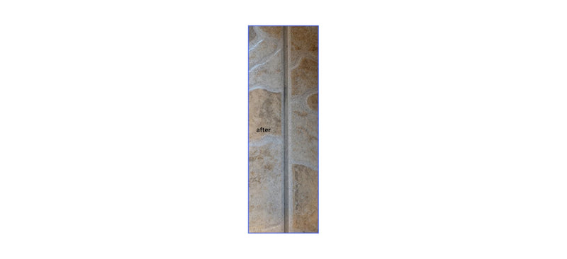 Mold stain remover gel